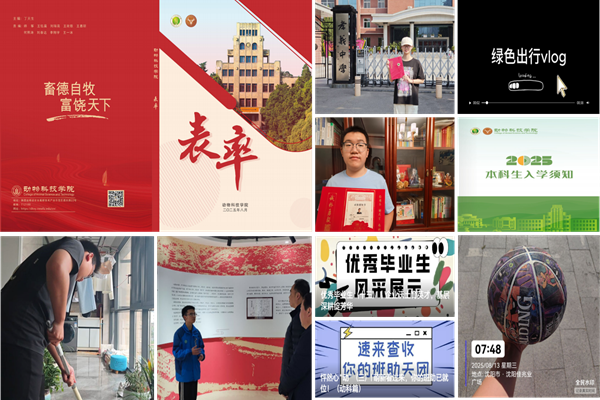 配图-活动过程_副本.png